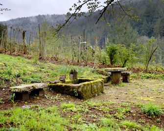 Haus Erika - Alpirsbach - Outdoors view