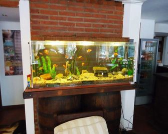 聖雷莫別墅暨科拉爾公寓溫泉酒店 - 卡瑞羅 - Cariló