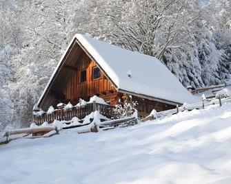 The logger's cottage made entirely of logs - Le Hohwald - Gebouw