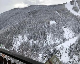 Hôtel Le Blainon - Auron - Balcony
