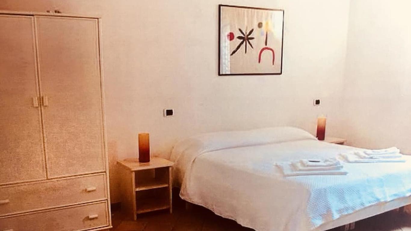 B&B Amphisya