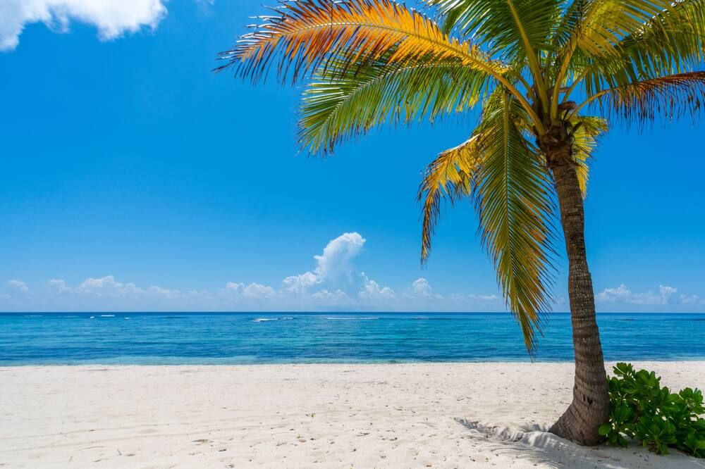 Luxury 2Bdr Beachfront Condo on Spotts Beach - Bodden Town - Plaj