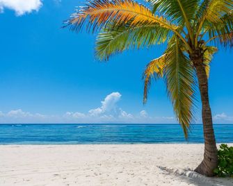 Luxury 2Bdr Beachfront Condo on Spotts Beach - Bodden Town - Plaj