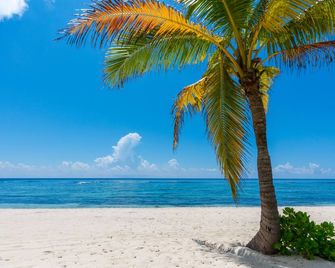 Luxury 2Bdr Beachfront Condo on Spotts Beach - Bodden Town - Plaj