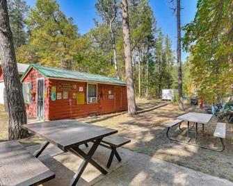 Grizzly Gulch Cabin Historic - Keystone - Patio