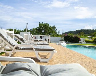 Maranatha Villa - Rio Bueno - Pool