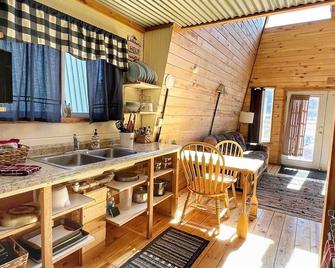 Avalanche Lily - Cabin 4 - 2 bedrooms in Creede, Colorado - Creede - Cocina