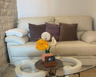 Ila's Tiny House - Limoges - Living room