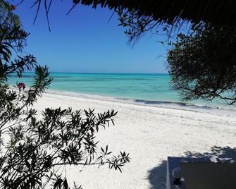 Red Monkey Beach Lodge - Jambiani - Praia