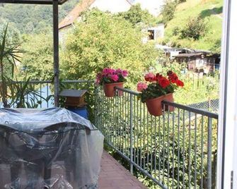 Haus-Ursula (Hofstadt) - Apartment, shower and bath, toilet, non-smoking - Pirmasens - Balcony