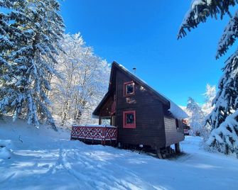 Magnifique chalet Nordique à La Féclaz - Idéal pour 6 personnes - Les Déserts - Bâtiment