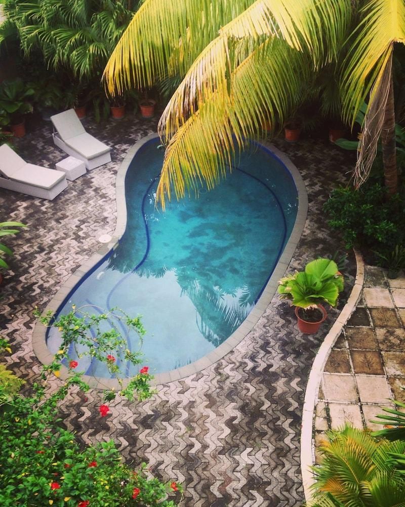 لو أليموانا هوتل