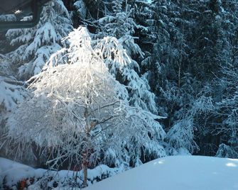 Holiday Home in a quiet location, beautiful forest area - Auerbach im Vogtland - Property amenity