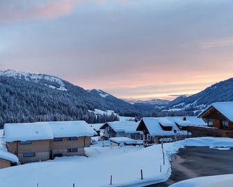 Alpenrose Ferienwohnung - Balderschwang - Venkovní prostory