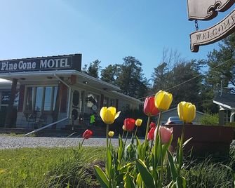 Pinecone Motel - Sussex Corner