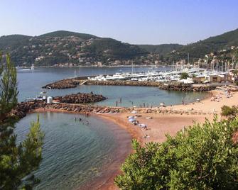 Mercure Cannes Mandelieu - Cannes - Beach