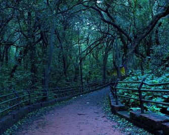 Shalimar in the Forest - Matheran