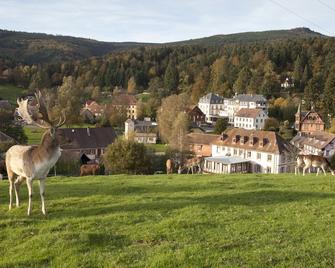 Le Grand Hotel Du Hohwald - Le Hohwald - Building