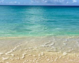 Your Island Home!!!! - Frederiksted - Plaża