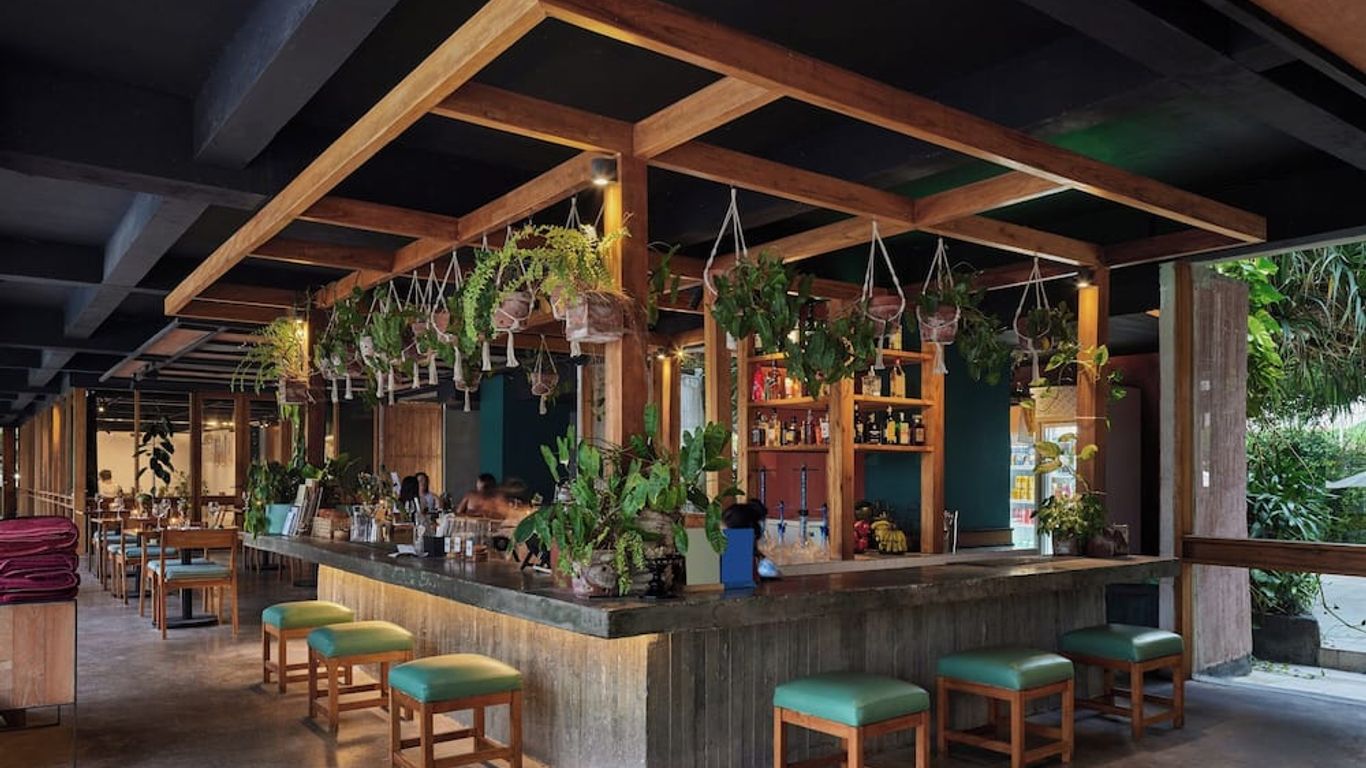 쇼어 아모라 캉구