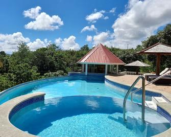 Eden Crest Villa - Anse La Raye - Pool