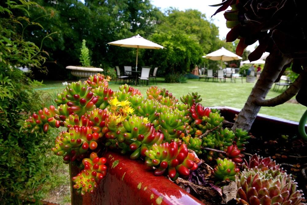 Wine Village Motor Inn - Rutherglen - Outdoors view