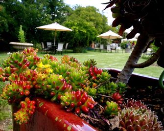Wine Village Motor Inn - Rutherglen - Outdoors view