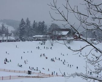 Spacious 65 sqm apartment, 3 rooms with box-spring bed. - Sankt Andreasberg - Annehmlichkeit