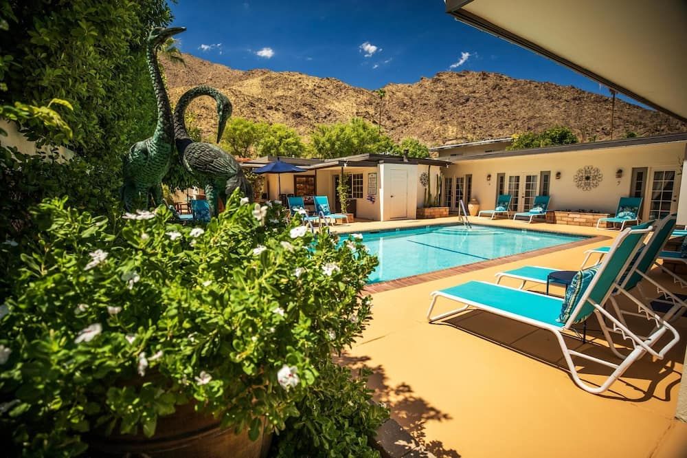 Old Ranch Inn - Adults Only 21 & Up - פאלם ספירנגס - בריכה