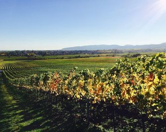 Hotel Central - Frankenthal - Outdoor view
