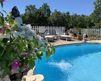 1 or 3 small rental residences in southern Ardèche for 2 to 15 people with swimming pool - Saint-Montan - Pool