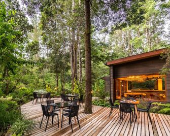 Rakau Lodge - Pucon - Terasa