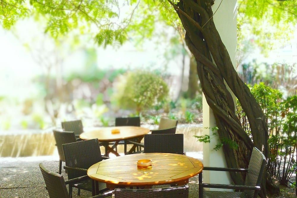 Hotel Alexandre III - קאן - פטיו