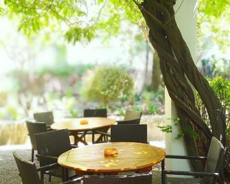 Hotel Alexandre III - קאן - פטיו