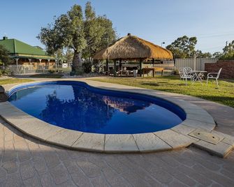 Overlander Homestead Motel - Roma - Pool
