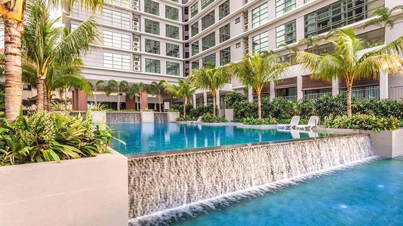 스콜라스 스위트