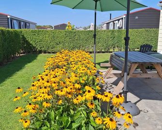 6 persons Chalet Net Wa'k Wou, Close to Zeeland Coast, Olmenduin (family park) - Serooskerke, Walcheren - Patio