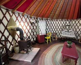 Relax in a Cozy, Skylit Yurt at a Farm Animal Sanctuary - Pittsboro