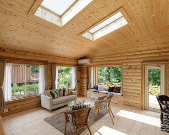 Natural HotSpring with Loghouse / Hakusan Ishikawa - Nomi - Living room