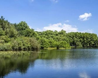 Camping L'Etang D'Ardy - Saint-Paul-lès-Dax