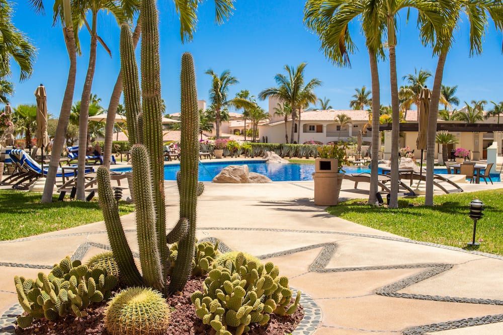 Spring Savings! Chic Beach Condo / Prime San José Hotel Zone Location. - סן חוסה דל קאבו - בריכה