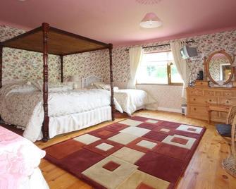 Mount Usher View B&B - Bray - Schlafzimmer