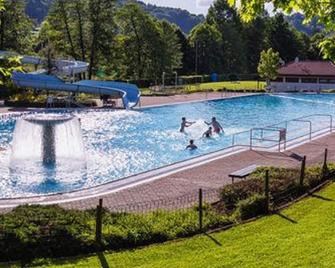Ferienwohnung am Wintersberg - Bad Orb - Pool