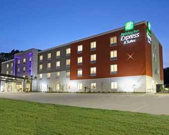 Holiday Inn Express & Suites Columbus North By IHG - Columbus - Rakennus