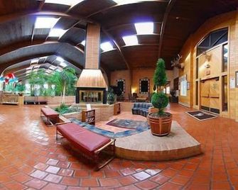 Douglas Inn & Conference Center - Douglas - Patio