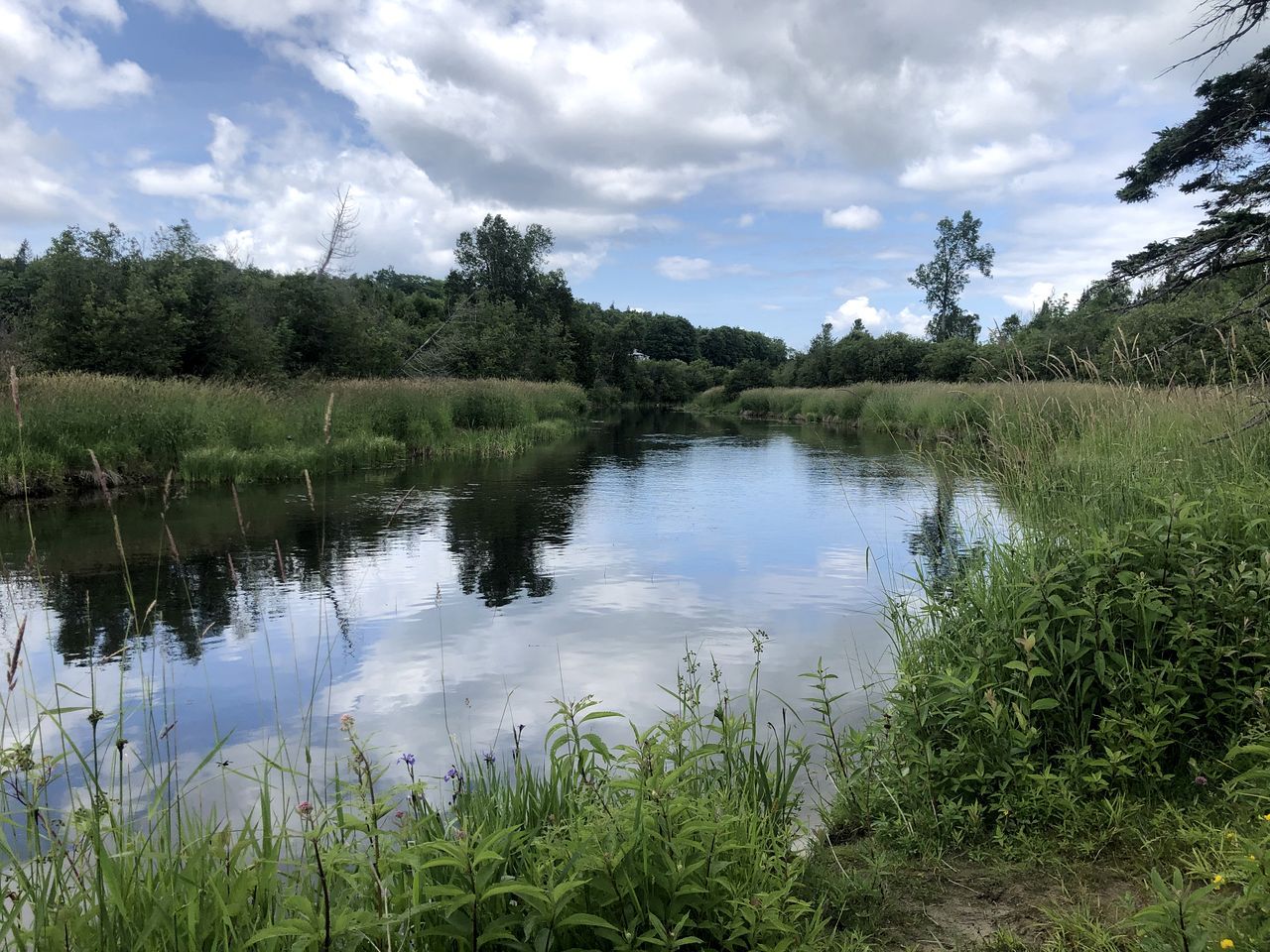 Cozy Off-Grid Canvas Bell Tent Surrounded by Nature for a Peaceful Getaway in Tehkummah, Ontario - Tehkummah - Outdoor view