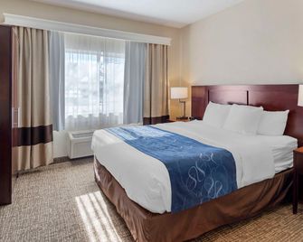 Comfort Suites Normal University area - Normal - Schlafzimmer