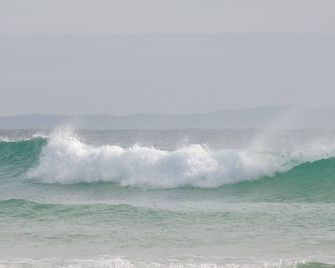 Saltwater Villas - Pet Friendly Accommodation - Mooloolaba - Beach