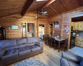 Beautiful 2 Bedroom Cabin on Taylor River with Private Hot Tub - Almont - Living room