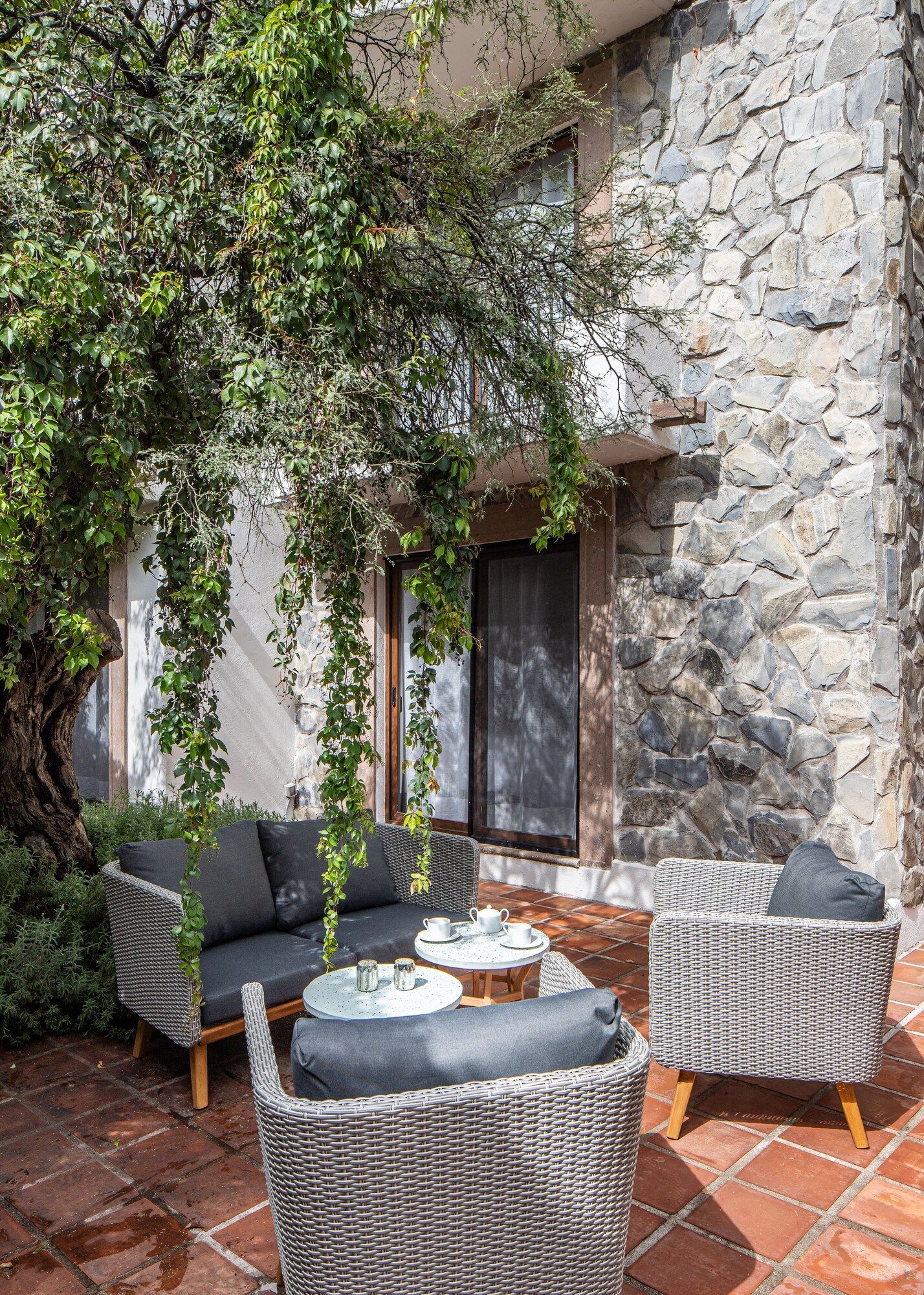 Gated Community Home, Parking, Pool, Tennis court - San Miguel de Allende - Patio